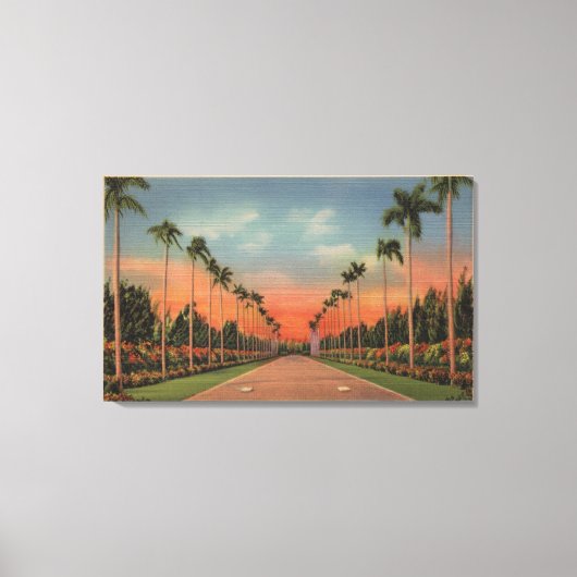 Hialeah, Florida - Miami Jockey Club Driveway Canvas Afdruk (Voorkant)