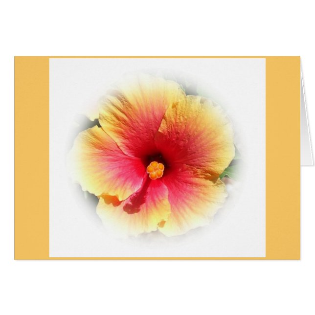 Hibiscus (Voorkant Horizontaal)