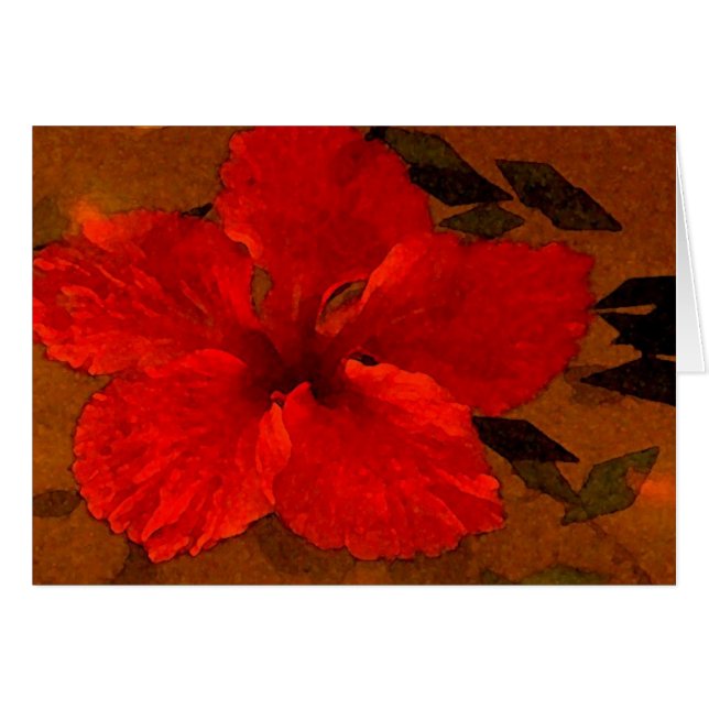 hibiscus-1 (Voorkant Horizontaal)