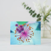 hibiscus 10 briefkaart (Staand voorkant)