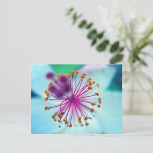 hibiscus 10 briefkaart (Staand voorkant)