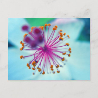hibiscus 10 briefkaart