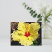 hibiscus 11 briefkaart (Staand voorkant)