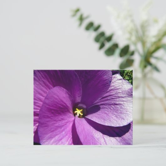 hibiscus 13 briefkaart (Staand voorkant)