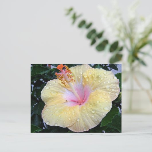 hibiscus 16 briefkaart (Staand voorkant)
