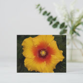 hibiscus 18 briefkaart (Staand voorkant)