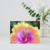 hibiscus 19 briefkaart (Staand voorkant)