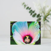 hibiscus 23 briefkaart (Staand voorkant)
