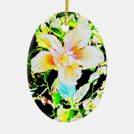 Hibiscus 2635b Ornament (Voorkant)