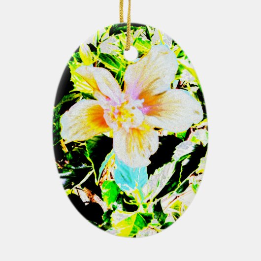 Hibiscus 2635b Ornament (Achterkant)