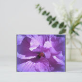 hibiscus 27 briefkaart (Staand voorkant)