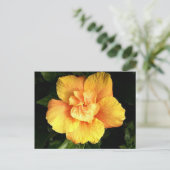 hibiscus 28 briefkaart (Staand voorkant)