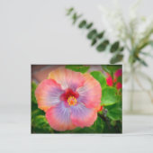 hibiscus 29 briefkaart (Staand voorkant)