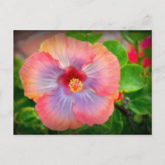 hibiscus 29 briefkaart