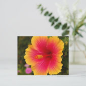 hibiscus 3 briefkaart (Staand voorkant)