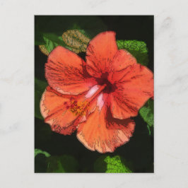 Hibiscus 424 briefkaart