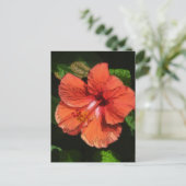 Hibiscus 424 briefkaart (Staand voorkant)