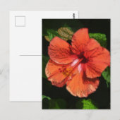 Hibiscus 424 briefkaart (Voorkant / Achterkant)