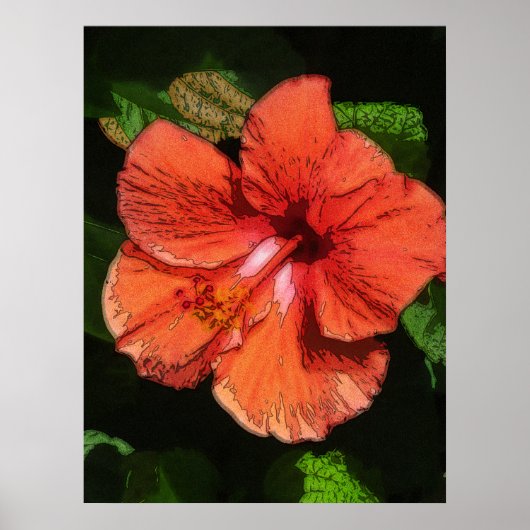 Hibiscus 424 tropische rode bloem poster (Voorkant)