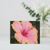 hibiscus 5 briefkaart (Staand voorkant)
