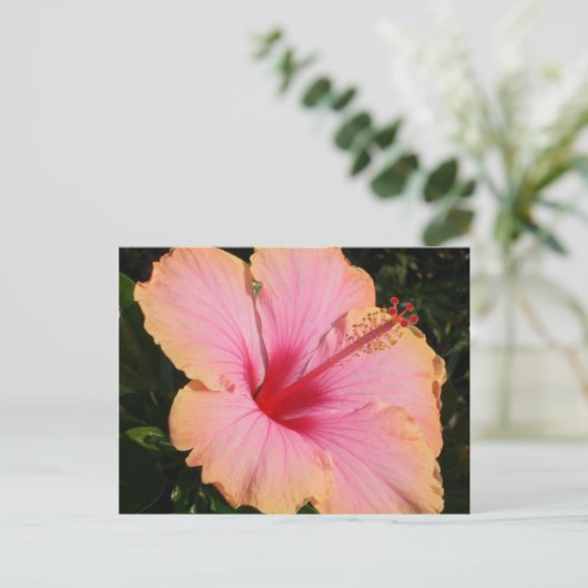 hibiscus 5 briefkaart (Staand voorkant)