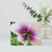hibiscus 7 briefkaart (Staand voorkant)