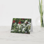 Hibiscus And Phlox Flower Garden Photography  Notitiekaartje (Voorkant)