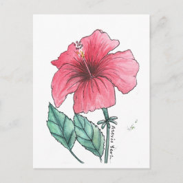 hibiscus ansichtkaart briefkaart