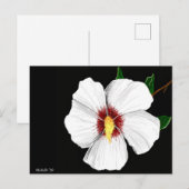 Hibiscus Ansichtkaart Briefkaart (Voorkant / Achterkant)