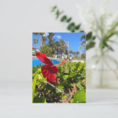 Hibiscus Ansichtkaart Briefkaart (Staand voorkant)