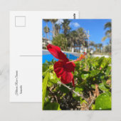 Hibiscus Ansichtkaart Briefkaart (Voorkant / Achterkant)