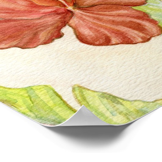 Hibiscus Art afdrukken 8x10 Poster (Hoek)