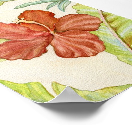 Hibiscus Art print 5x7 (Hoek)