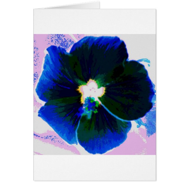 Hibiscus Azul (Voorkant)