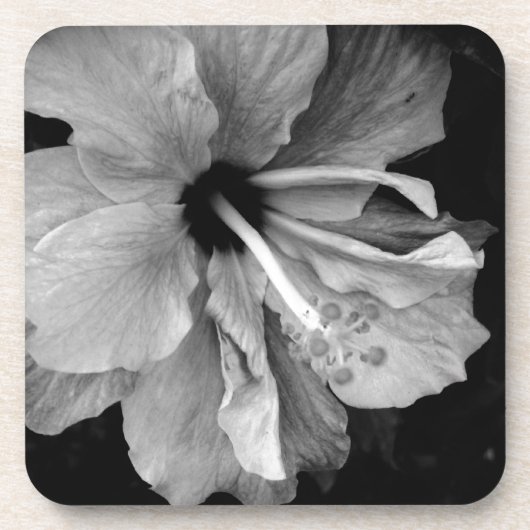 Hibiscus Bier Onderzetter (Voorkant)