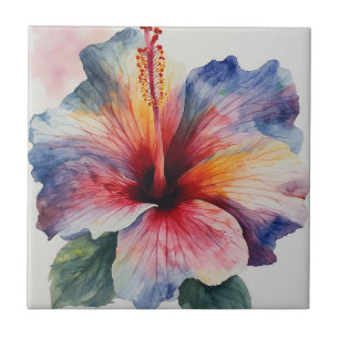 Hibiscus Bloei Tegeltje