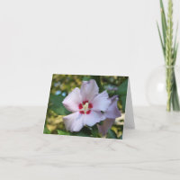 Hibiscus bloem briefkaart