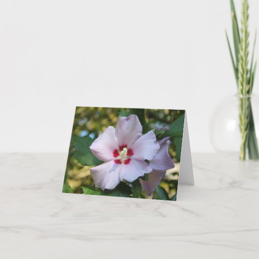 Hibiscus bloem briefkaart (Voorkant)