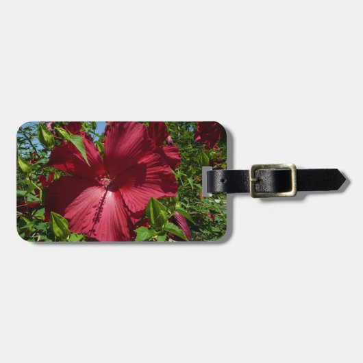 Hibiscus Bloem en Blue Sky Bagagelabel (Voorkant horizontaal)