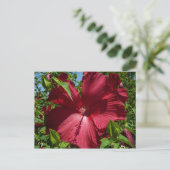 Hibiscus Bloem en Blue Sky Briefkaart (Staand voorkant)