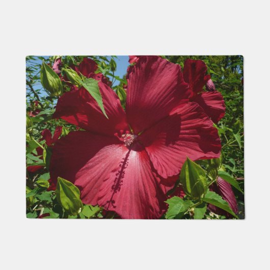 Hibiscus Bloem en Blue Sky Deurmat (Voorkant)