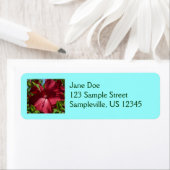 Hibiscus Bloem en Blue Sky Etiket (Insitu)