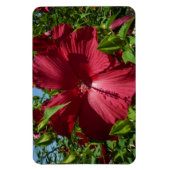 Hibiscus Bloem en Blue Sky Magneet (Verticaal)