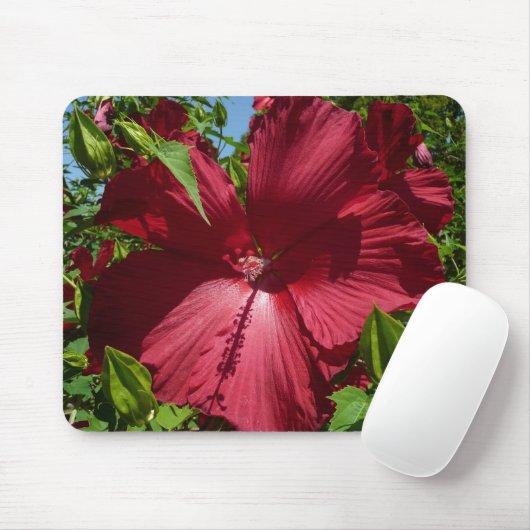 Hibiscus Bloem en Blue Sky Muismat (Met muis)