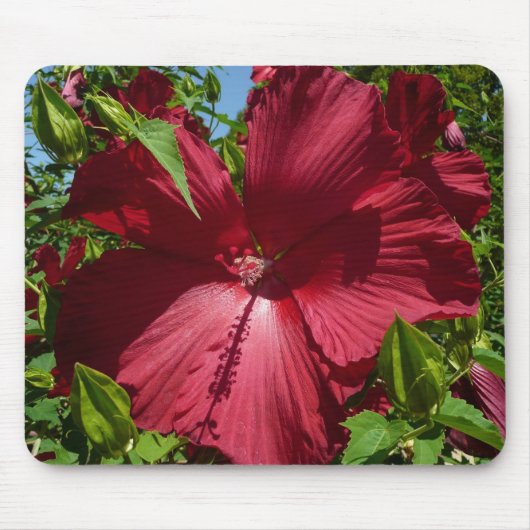 Hibiscus Bloem en Blue Sky Muismat (Voorkant)