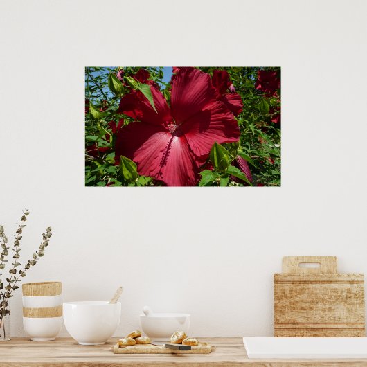 Hibiscus Bloem en Blue Sky Poster (Keuken)