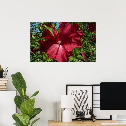 Hibiscus Bloem en Blue Sky Poster (Thuiskantoor)