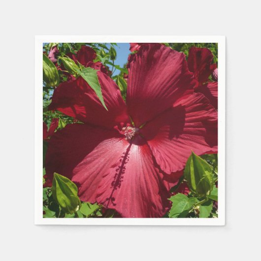 Hibiscus Bloem en Blue Sky Servet (Voorkant)