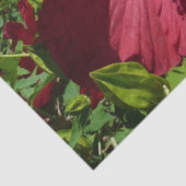 Hibiscus Bloem en Blue Sky Tissuepapier (Detail)