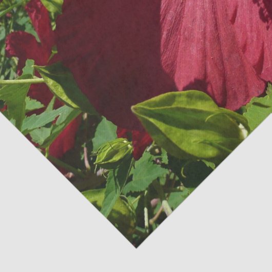 Hibiscus Bloem en Blue Sky Tissuepapier (Detail)